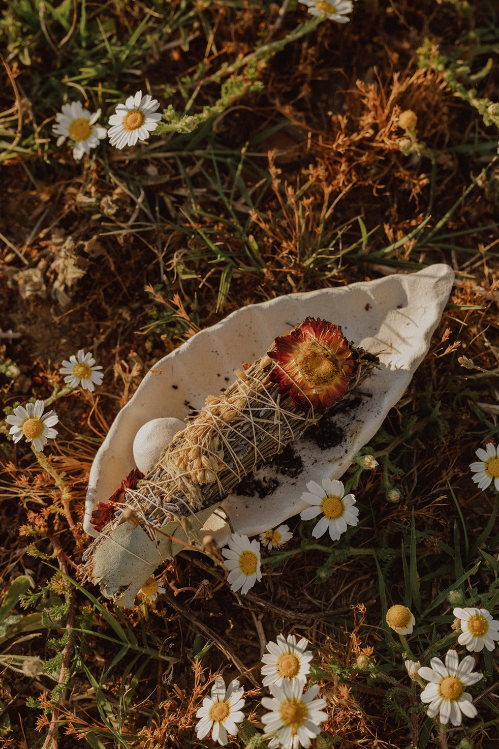 Local plants smudge - Love